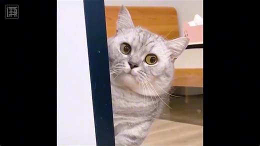 从_最丑007_到硬汉标杆的蜕变# 丹尼尔克雷格