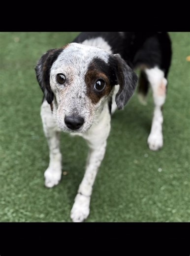 5.3K views · 118 reactions | Yesterday was a good day! We welcomed...