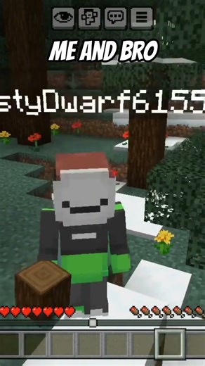 me and my bro#minecraft #mine #minecraftsurvivalseriesepisode1 #minecraftgameplay
