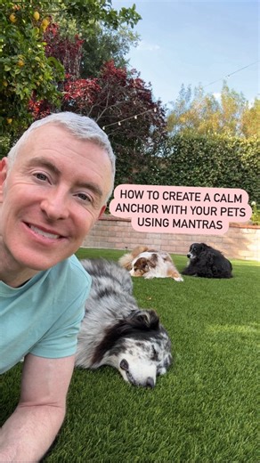 How to Create a Calm Anchor With Your Pets Using Mantras. During peaceful moments with your pets, create a simple mantra to anchor the calm energy you’re sharing. Speak a few gentle words like “we are calm” or “we savor this moment” as you all relax together. This imprints the peaceful energy within you and your animals. Later, when stress arises, repeating the mantra can instantly reconnect you to that calm state, shifting your energy and your animals’ energy back to balance. A simple practice 