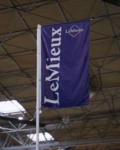 Are you at HOYS this weekend? Be sure to check both us and our partner stands! And every single one has Disney Hobby Horses….. #lovelemieux | LeMieux