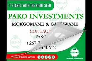 It all starts with the right Seed. Know the Seed Co family. Seed Co is covering all areas across Botswana. Check into each place and confirm the right seed for you. #Home_Of_The_Bumper_Harvest #It_Starts_With_The_Right_Seed | SeedCo