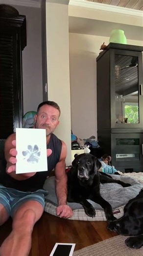 Capture a memory that lasts forever with the Nabance Extra Large Paw Print Kit for Dogs