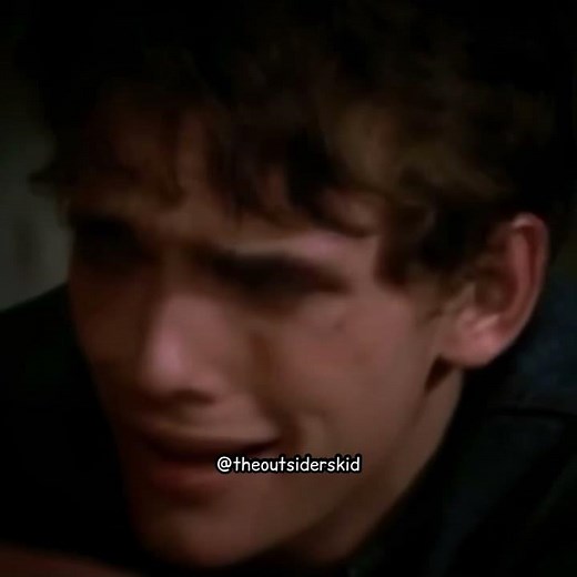 The Outsiders [1983]