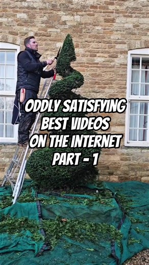 Compilation of The BEST Lawn Care & Pressure Washing Videos On The Internet - Part 1