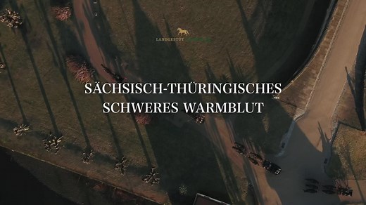 Atemberaubende Kulissen, herausragende Topvererber und Hoffnungsträger - das erwartet euch bei der etwas anderen Hengstpräsentation des Landgestüt Moritzburg! 😍 ▶️ watch.clipmyhorse.tv/Online-Hengstschau-Landgestuet-Moritzburg-2022 Auch 2022 präsentieren sich die Moritzburger Hengste in ihren rassetypischen Leistungsanforderungen nicht nur in der Reithalle, sondern auch am Moritzburger Jagdschloss, im Gelände rund um die Himmelsteiche und im historischen Gestüt.🔝💯 Auch die Deckstellenleiter, 