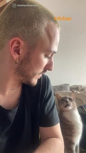 LA GATA QUE ELIGE QUÉ PELICULA VER 😸 Raquel DJ Pandemia no es cualquier gatita. Así la nombró el novio del participante de "La Voz" Stefano Marocco. Y ahora es ella quién exige lo que hay que ver en la televisión infobae.com | Infobae