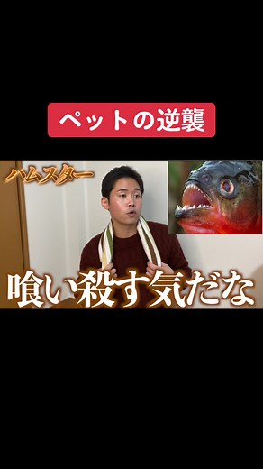ペットの逆襲パート1 - あきひらのドタバタ