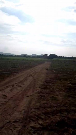 David Sanchez on Reels