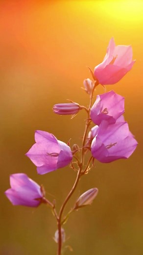 1.2K views | 5 Effective Strategies to Negotiate Lower Credit Card Interest Rates | Flynubianqueen.com | Facebook