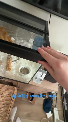 Updated Hamster Cage for a Happy Pet