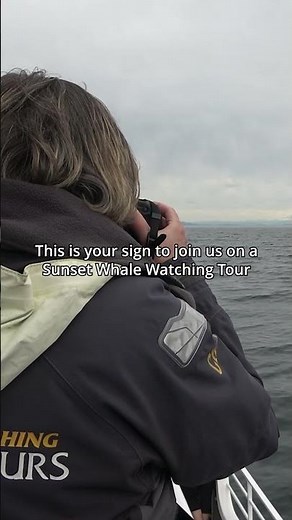 Sunset Whale Watching Tour