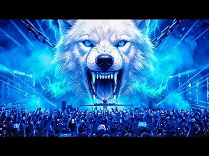 Tomorrowland 2026 – Tiësto, David Guetta, Alan Walker & Anyma | Live EDM Set