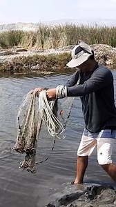 63K views · 1K reactions | No se trata de suerte, sino de saber pescar. Este pescador lanza un solo atarrayaso en un espacio estrecho y logra una captura asombrosa. | NES QUIN | Facebook