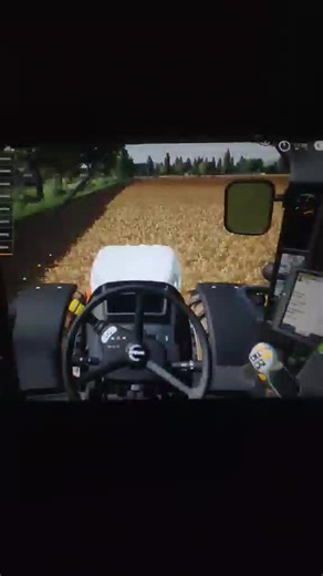 #fs19