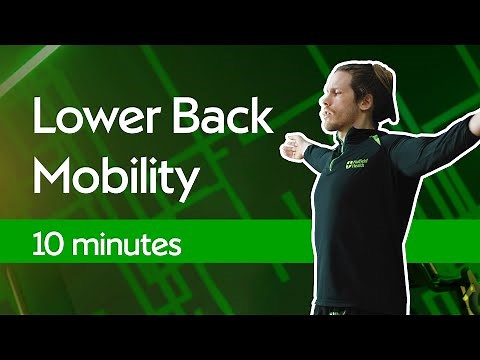 Stretches for Lower Back Mobility | Seated and Standing