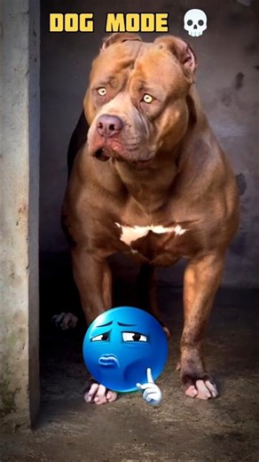 👁️ The Real Power Of Dog 💀