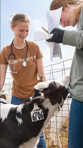 Animal Sciences Student Taylor Neal - Purdue University