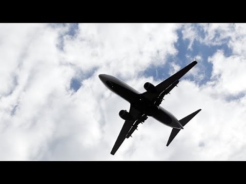 What's it like inside a plane's cargo hold?