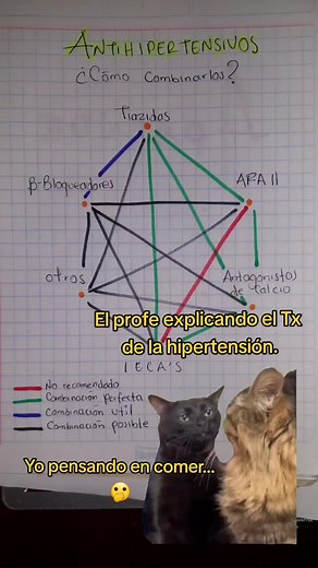 Tratamiento de la Hipertensión: Farmacología y Antihipertensivos