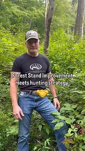 8K views · 382 reactions | Forest Stand Improvement is not just for producing deer forage and cover. It can also work hand-in-hand with hunting strategy. @kipadams_nda explains how he uses FSI on his Pennsylvania hunting land. #deerhabitat #deer #whitetails #hunting #nationaldeerassociation | National Deer Association | Facebook
