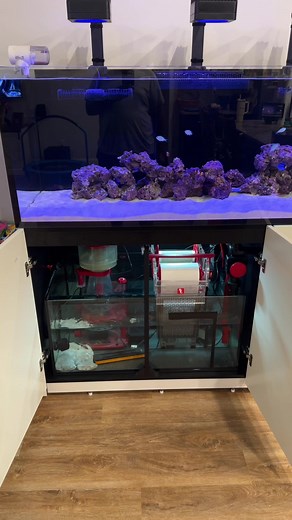 Reef Tank Setup with Submersible UV Filter