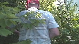 2K views | Streaming FREE: A new season of Hometown Tragedy, streaming now only on Very Local: https://verylocal.smart.link/hhyaofrsx?site_id=social&creative_id=general&cp_0=facebook&cp_1=social-download-the-app | Very Local | Facebook