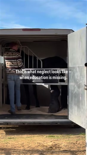 THIS ISNT ABOUT BLAME, ITS EDUCATION Yesterday, I saw a post come through — a Craigslist ad for a horse about two hours away, listed for $700. The photos showed everything. They were upfront. They even said he wasn’t rideable because of his leg. It’s easy to point fingers when you see a horse like this. It’s easy to assume neglect came from cruelty or indifference. But the reality is far more complicated — and far more common. Sometimes people genuinely don’t know. I didn’t know either, once. Wh