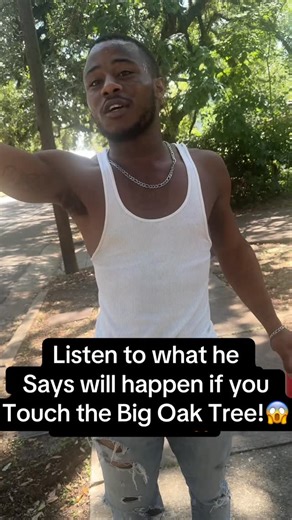 Sheena Austin on Instagram: "As I was searching for the Big Oak lynching tree located in Thomasville GA. I found out that if you touch the tree that something will happen to you. LISTEN TO WHAT HE SAYS WILL HAPPEN!😱"