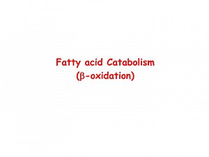 Fatty acid Catabolism ( b -oxidation) - SlideServe