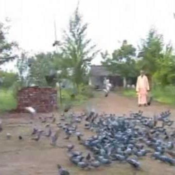 kbutar.chkli 2007 Guru purnima Sant santokanand swami