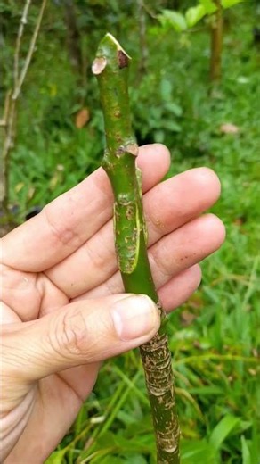 Use this technique to get faster and stronger linkage.