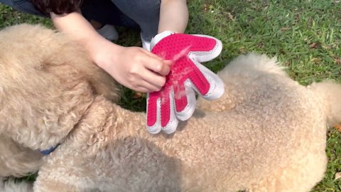 Dog & Cat Brush-Deshedding Brush, Dematting Tools, Shedding Brush Glove, Reduces Shedding 95%, Short to Long Hair, Large Breeds (Pink)