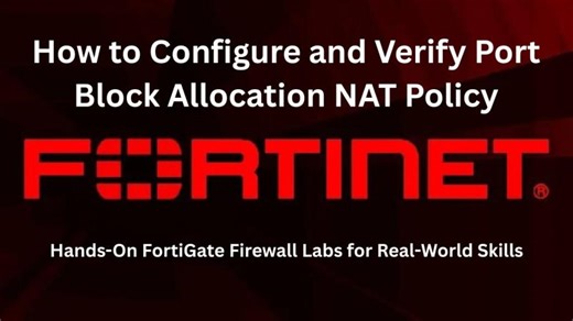 How to Configure and Verify Port Block Allocation NAT Policy | Urdu / Hindi | Ameer Zaib khan PMP