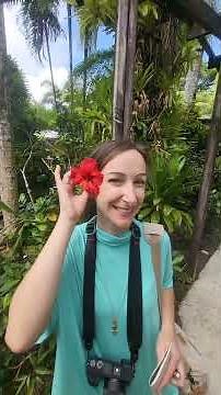 Samoa Vlog 11: A full day in Apia - SamoaPocketGuide.com