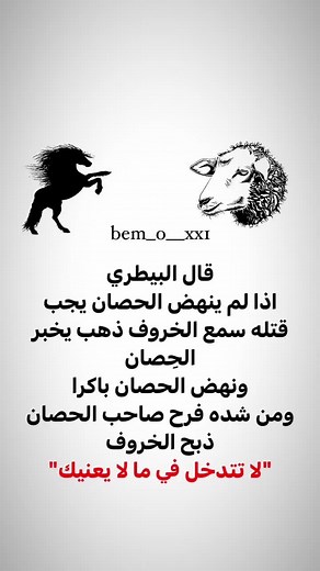 הסרטונים של ابو البحيري🖤🦅 (@bher.khwled) עם צליל מקורי - ابو البحيري🖤🦅