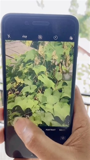 Iphone 7 plus #iphone #iphone7plus #iphone8plus