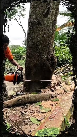 Professional logger felling a tree with a chainsaw