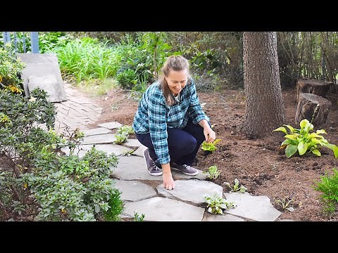Creating Dream Garden: STONE PATH🏡 MAGIC (Step by Step)