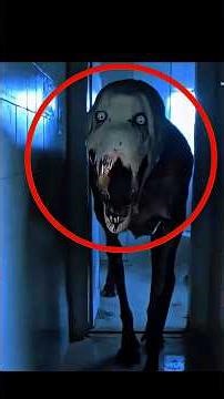 3 Ajeeb Jaanwar 😱 Jo Dekhkar Aap Yakeen Nahi Karoge!#shorts #facts #animalfacts #explore