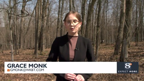 Maple syrup producers see increased sap collection, but long-term uncertainty looms