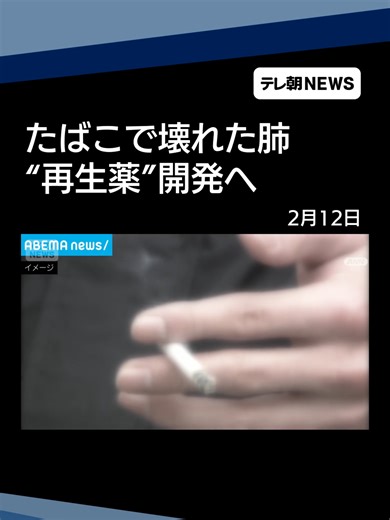 たばこで壊れた肺“再生薬”開発へ 2030年ごろから臨床試験 東京慈恵会医大 #テレ朝NEWS #tiktokでニュース