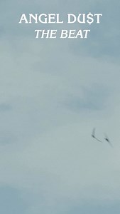 THE BEAT GOES ON AND ON | Angel Du$t