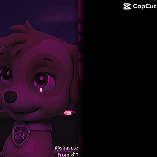 Skye and Chase: A Fun Paw Patrol Edit