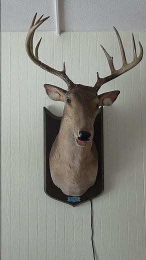 Gemmy Animated Buck The Singing Deer - Raw Hide DEMO