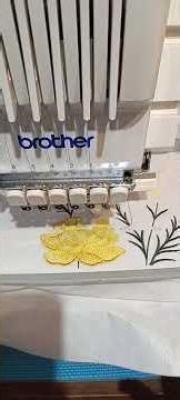 Letter M Peony Getting Some Shade