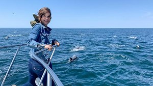 Wie sprechen die Wale?