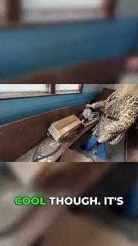 Old School Desks, Star Wars & Mysterious Wheelchairs!