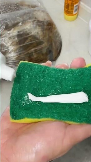 Descubre el Truco Casero con Bicarbonato y Detergente