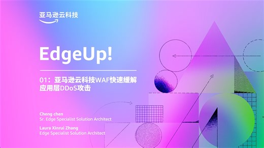 EdgeUp! 亚马逊云科技WAF快速缓解应用层DDoS攻击